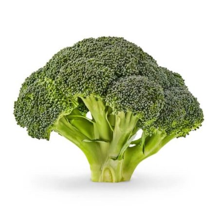 Organic green fresh broccoli